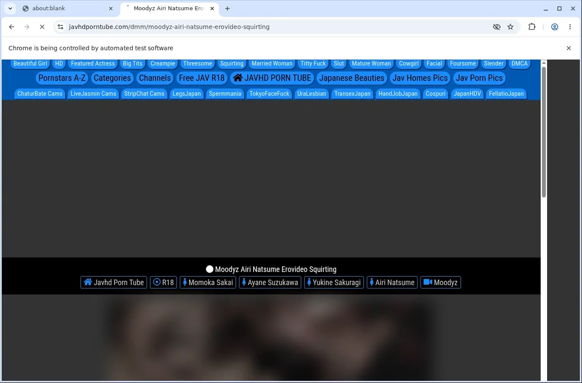 JavHD PornTube Downloader page open in the browser