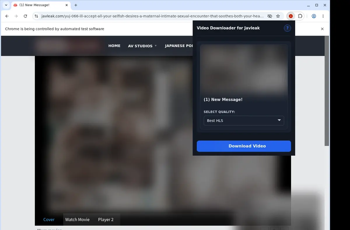 JavLeak Video Downloader showing detected media ready to download