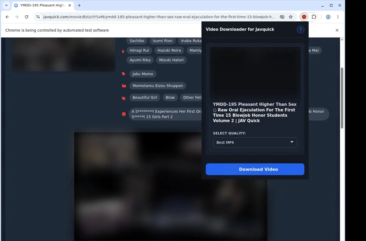 Javquick Downloader showing detected media ready to download