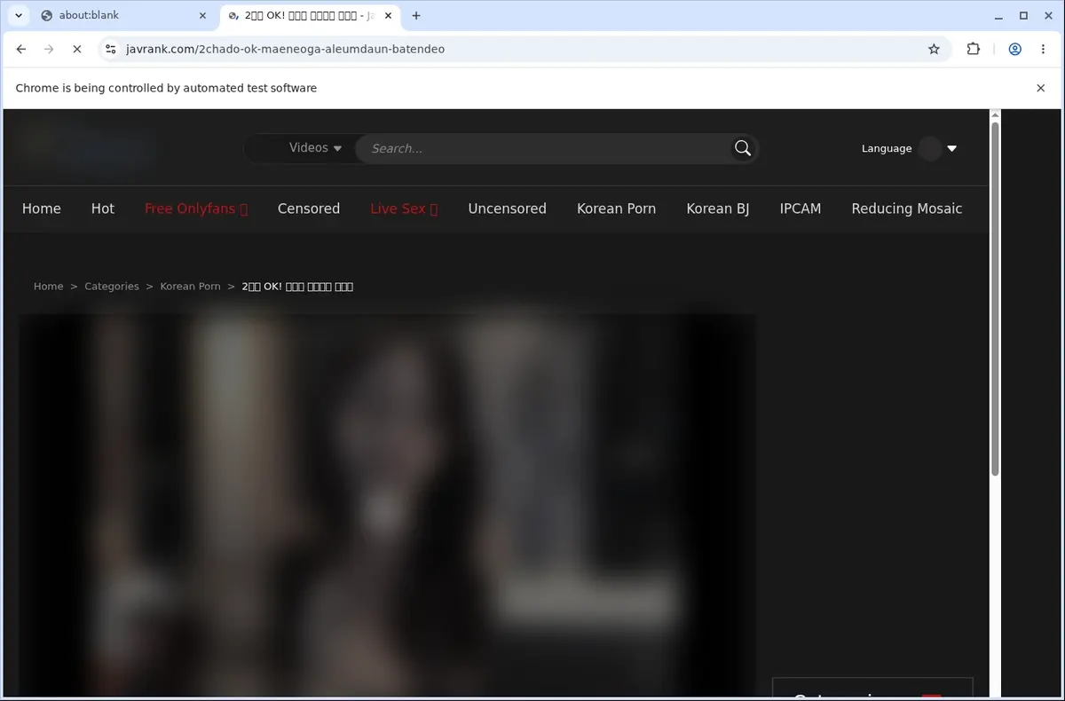 JavRank Video Downloader page open in the browser