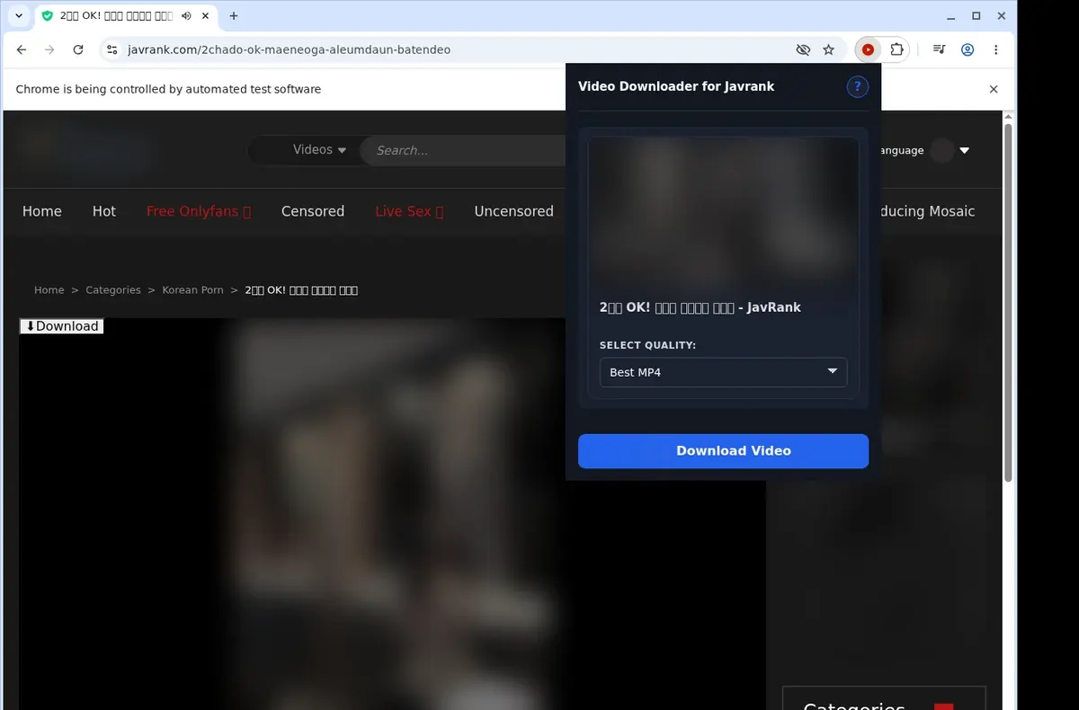 JavRank Video Downloader showing detected media ready to download
