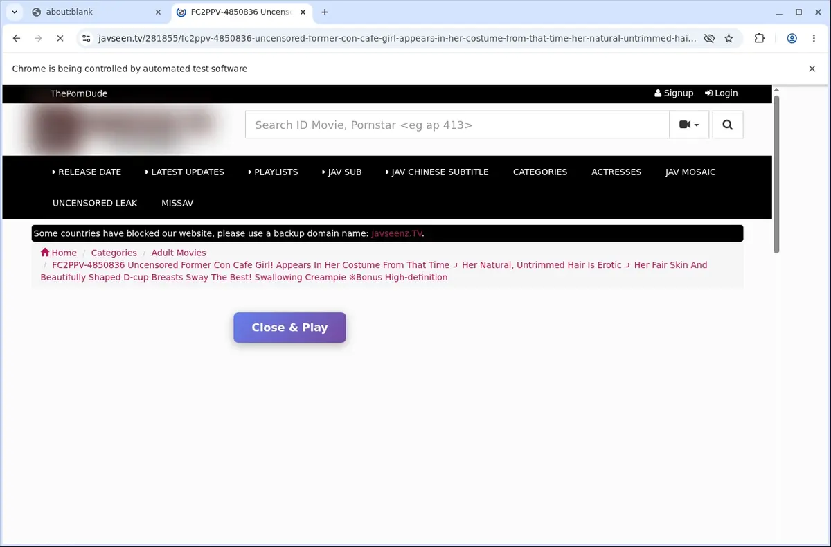 Javseen Video Downloader page open in the browser