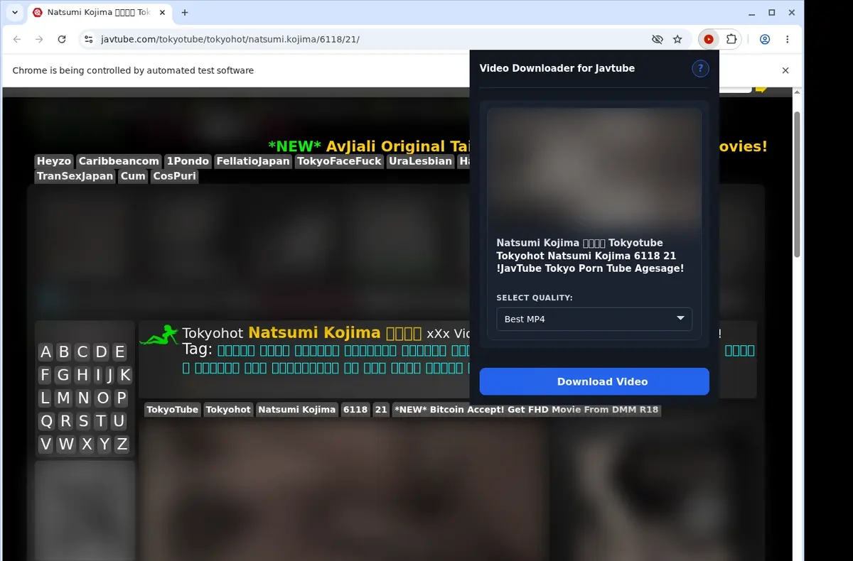 Javtube Video Downloader showing detected media ready to download