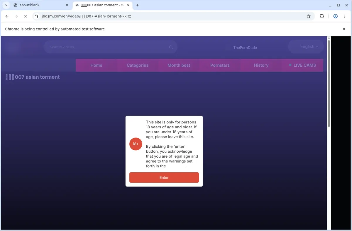 Jbdsm Video Downloader page open in the browser