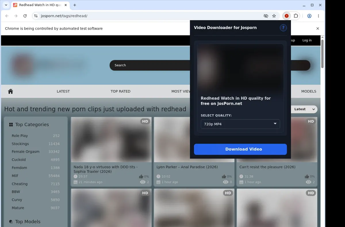 JOSPorn Video Downloader showing detected media ready to download