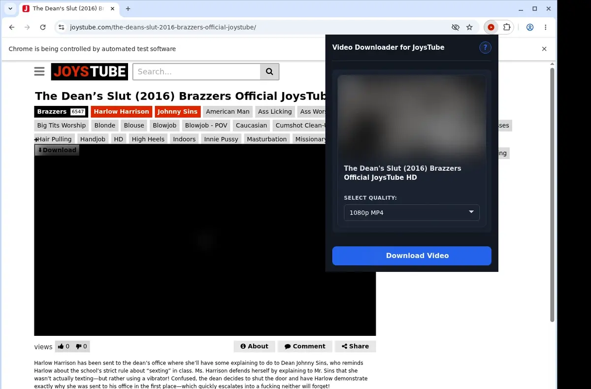 JoysTube Downloader showing detected media ready to download