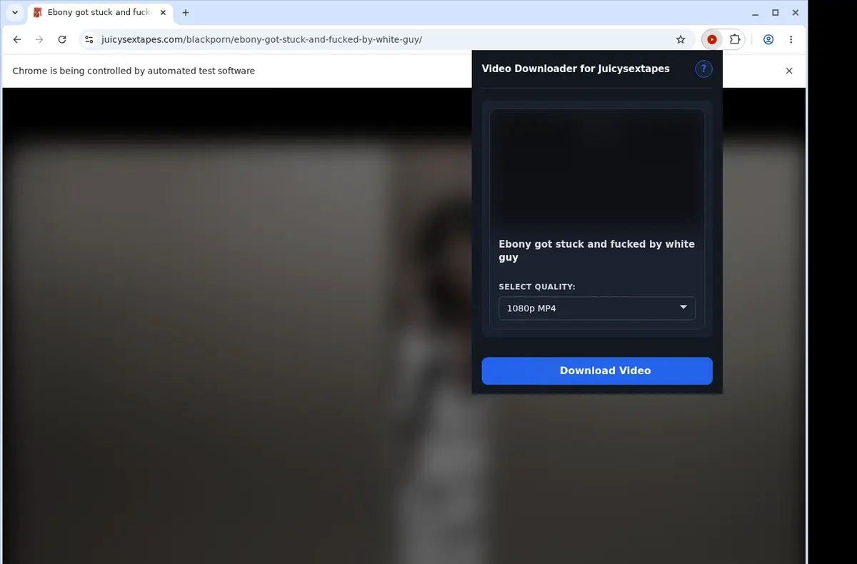 JuicySexTapes Video Downloader showing detected media ready to download