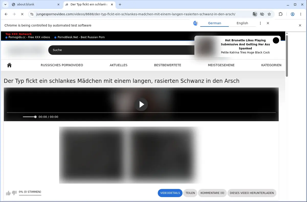 Junges Porno Video Downloader page open in the browser