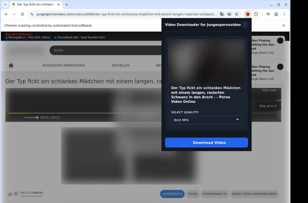 Junges Porno Video Downloader showing detected media ready to download