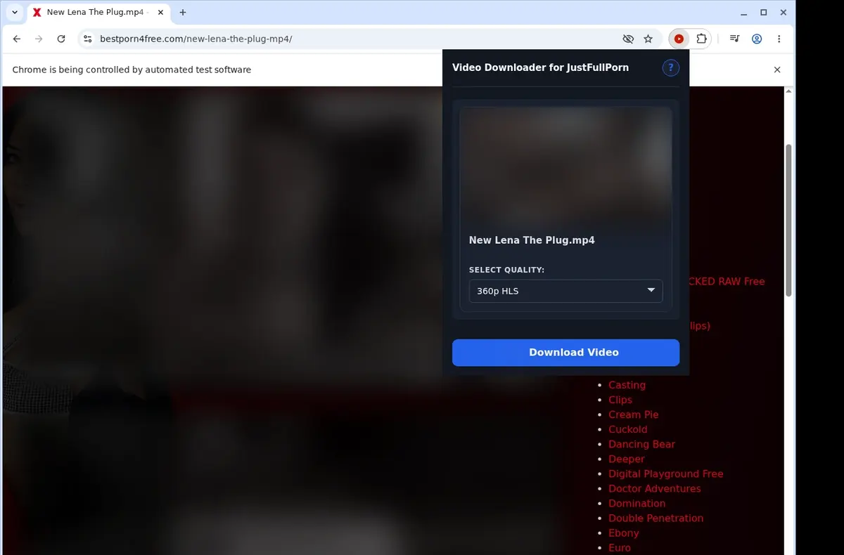 JustFullPorn Downloader showing detected media ready to download