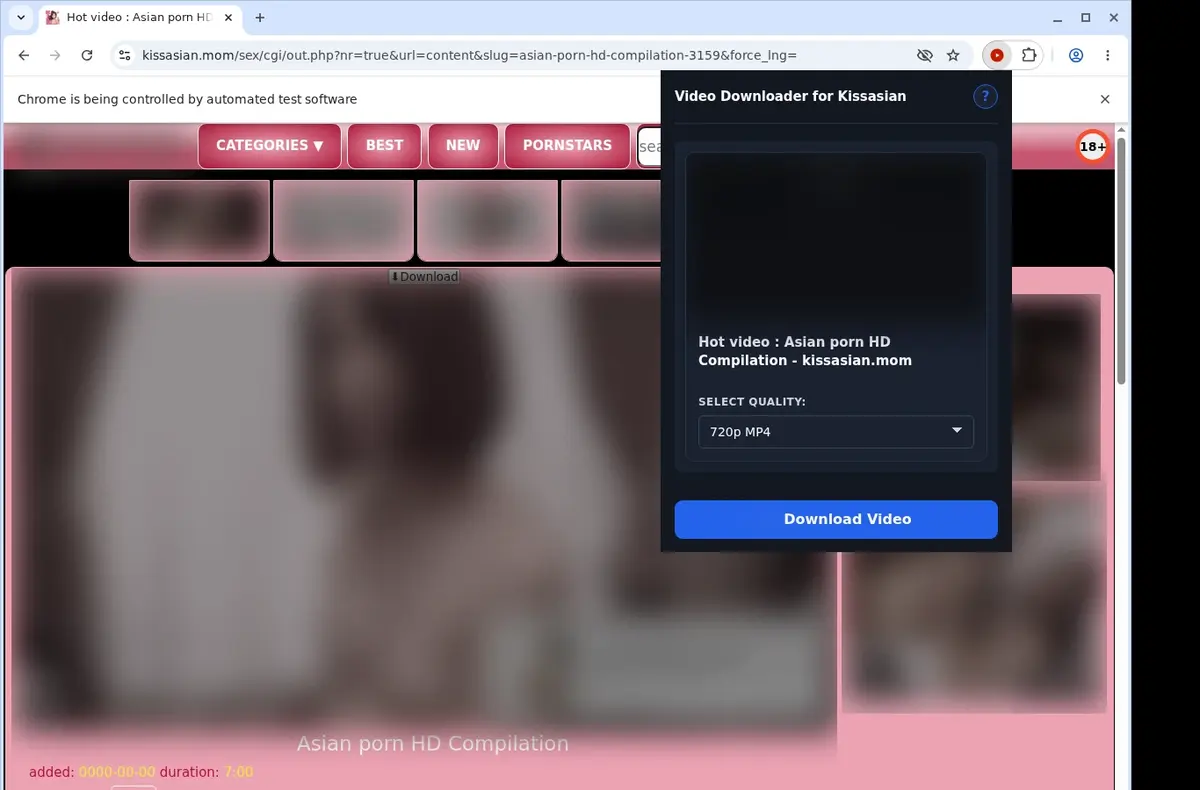KissAsian Downloader showing detected media ready to download