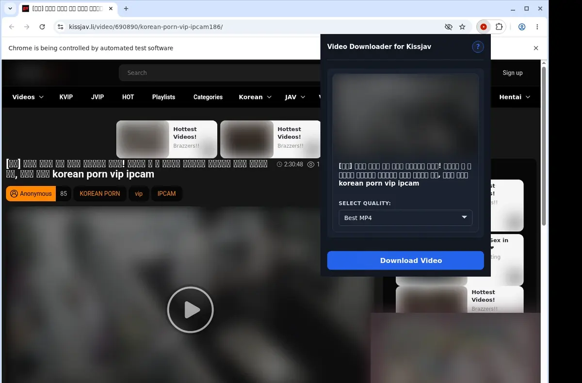 Kissjav Video Downloader showing detected media ready to download