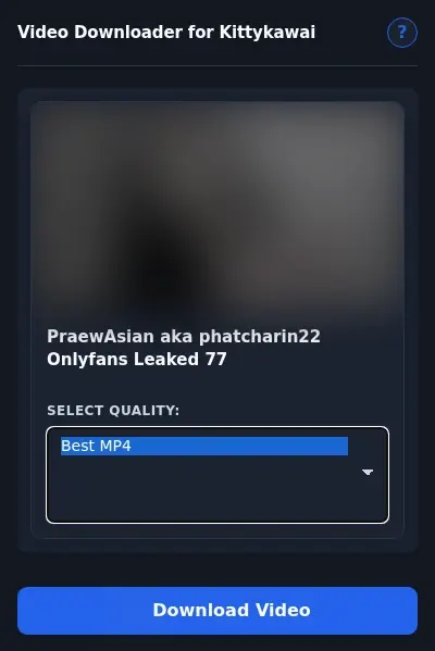 Kittykawai Video Downloader format dropdown options