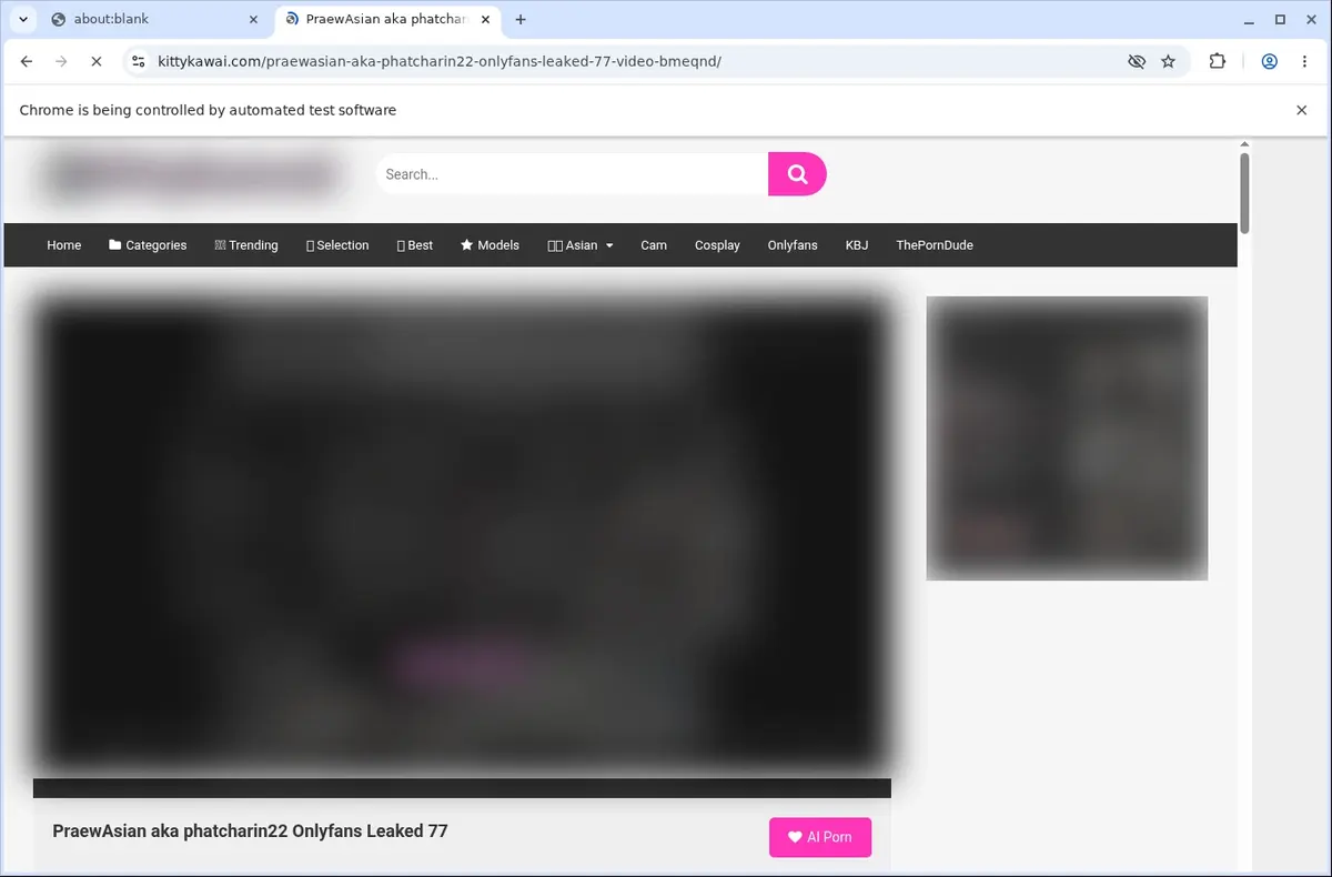 Kittykawai Video Downloader page open in the browser