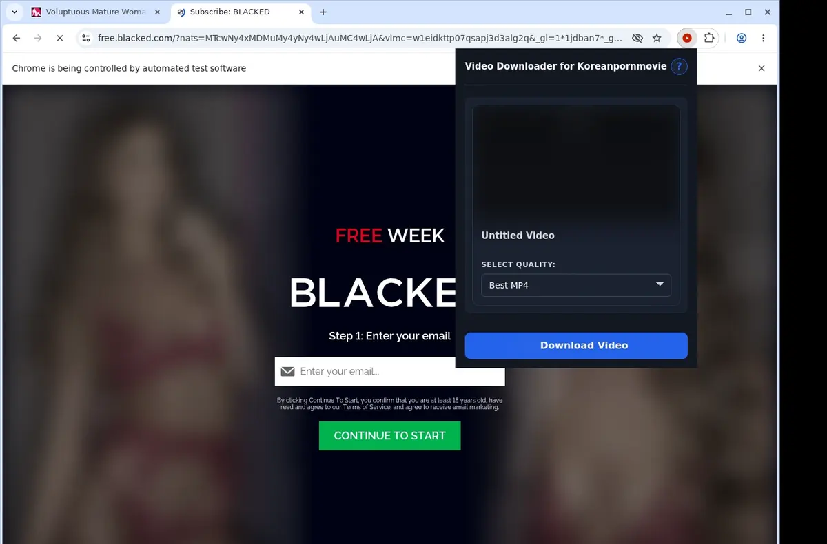 Koreanpornmovie Video Downloader showing detected media ready to download