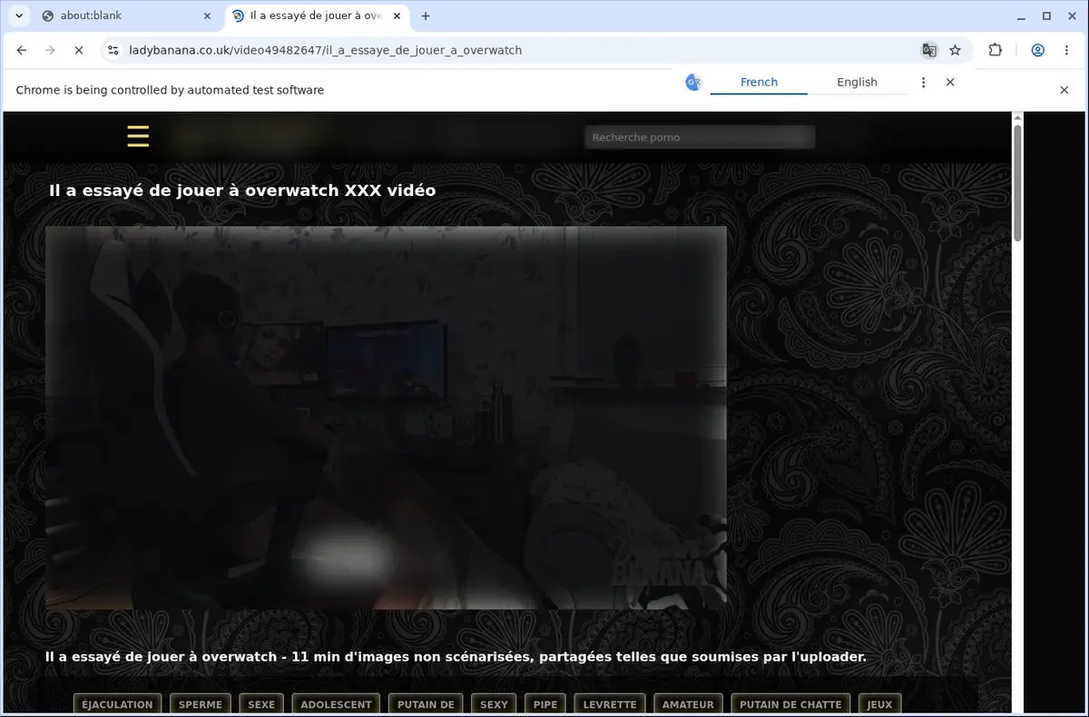 Lady Banana Video Downloader page open in the browser