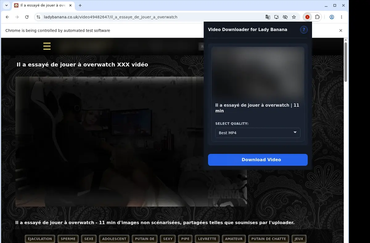 Lady Banana Video Downloader showing detected media ready to download