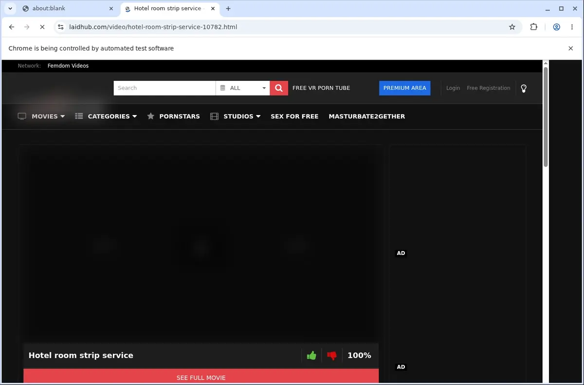 Laidhub Video Downloader page open in the browser