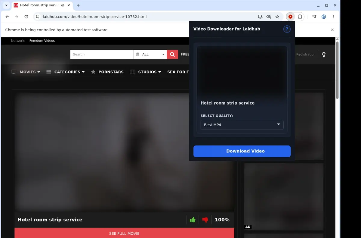 Laidhub Video Downloader showing detected media ready to download