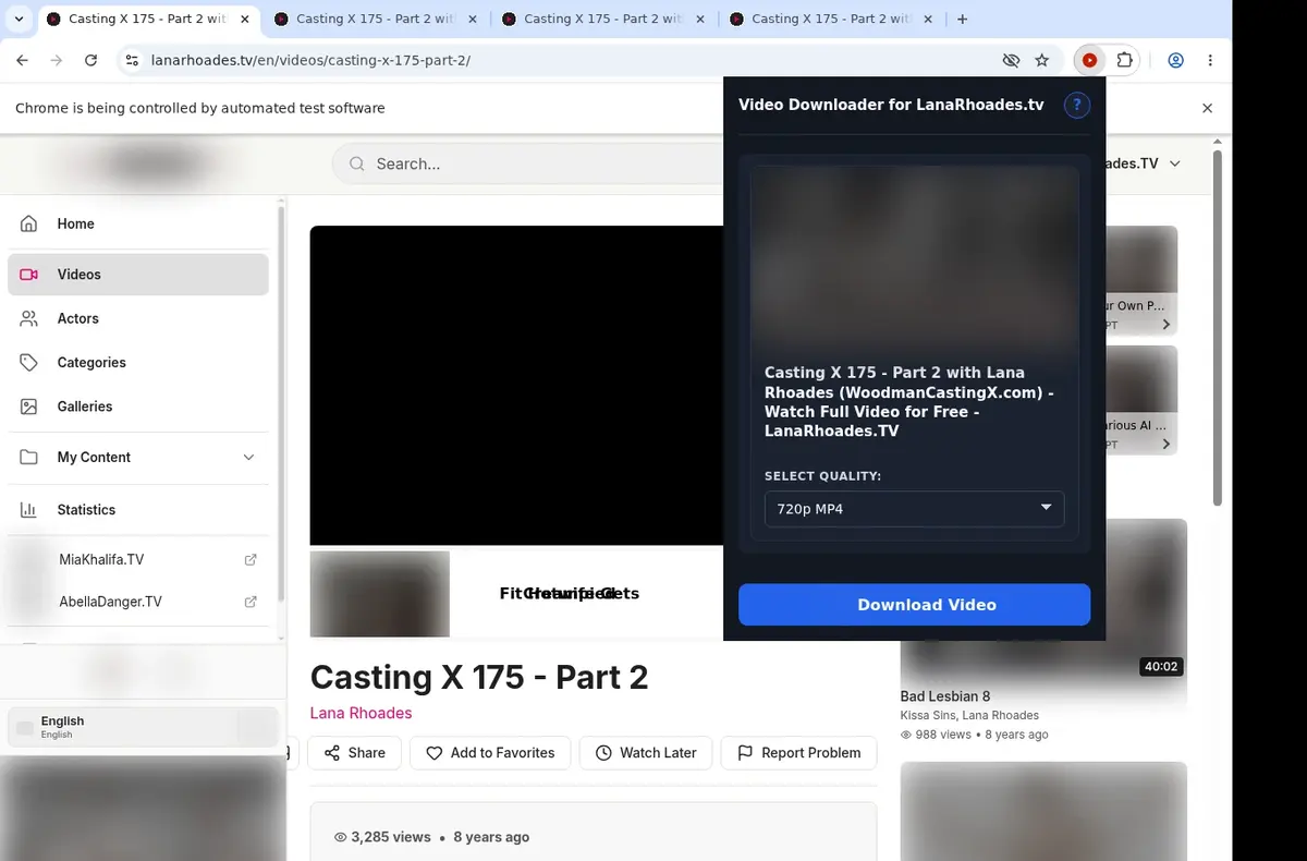 LanaRhoades.tv Downloader showing detected media ready to download