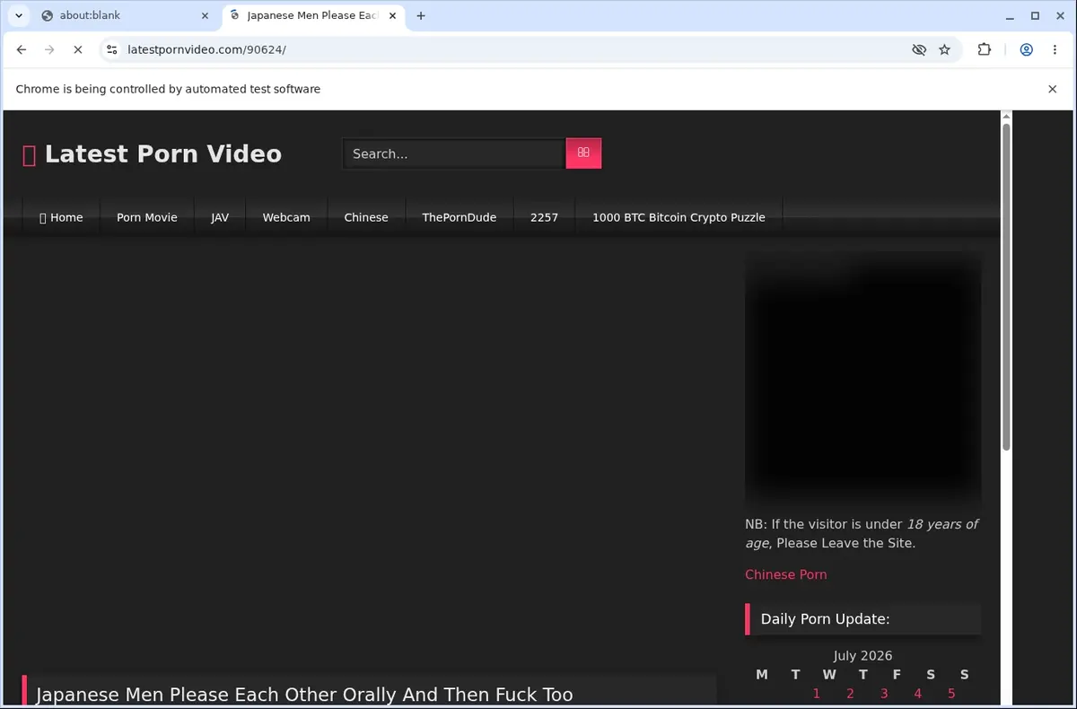Latest Porn Video Downloader page open in the browser