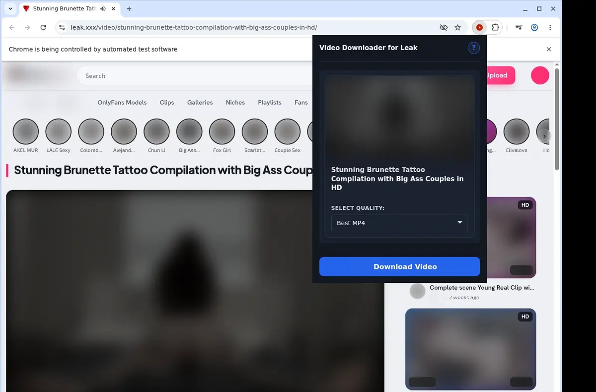 Leak.xxx Downloader showing detected media ready to download