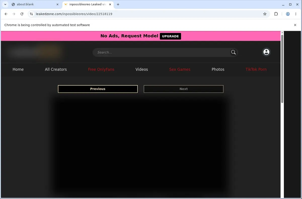 LeakedZone Downloader page open in the browser