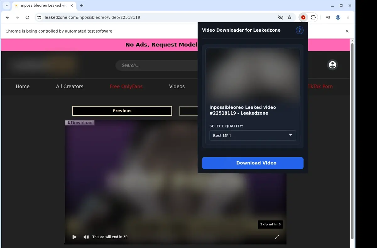 LeakedZone Downloader showing detected media ready to download