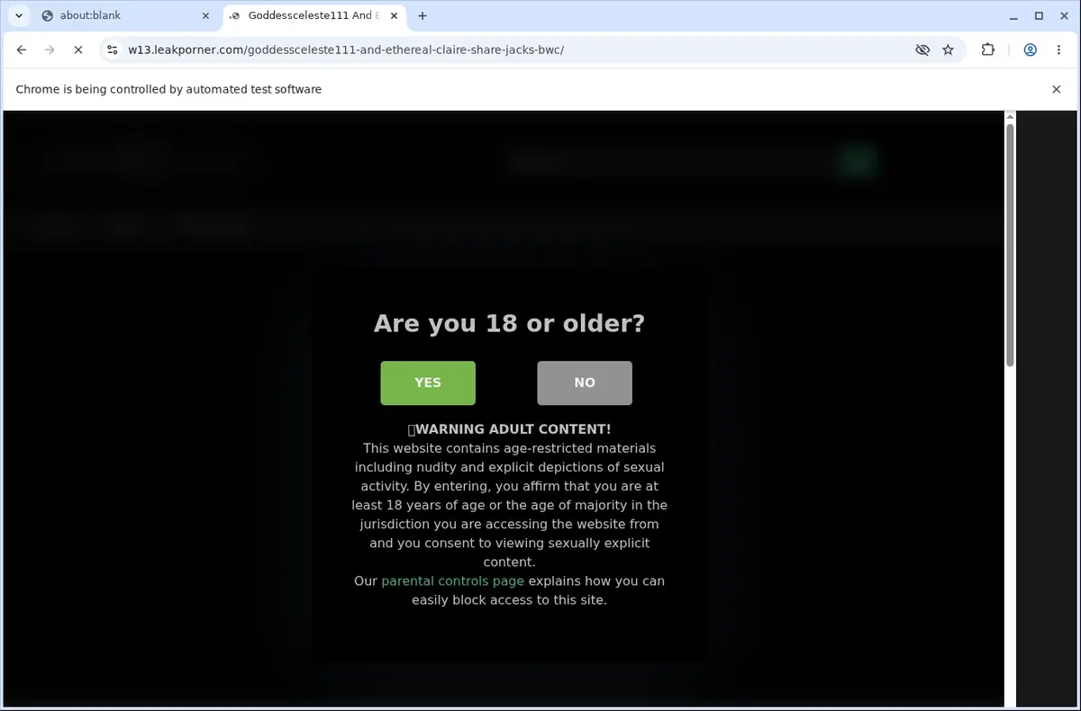 Leakporner Video Downloader page open in the browser