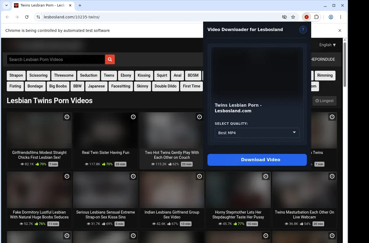 Lesbosland Video Downloader showing detected media ready to download