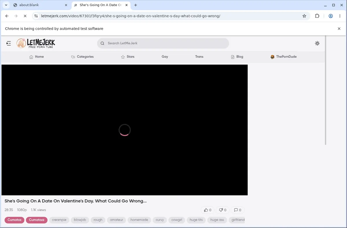 LetMeJerk Downloader page open in the browser