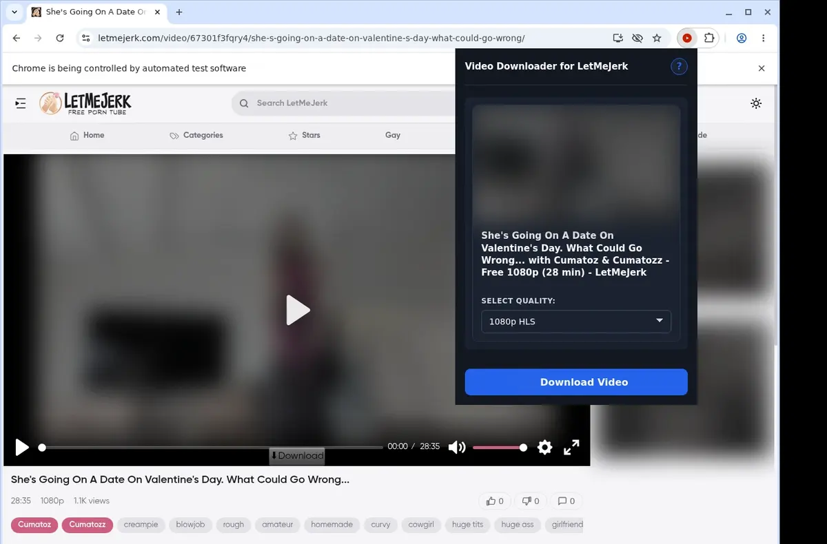 LetMeJerk Downloader showing detected media ready to download