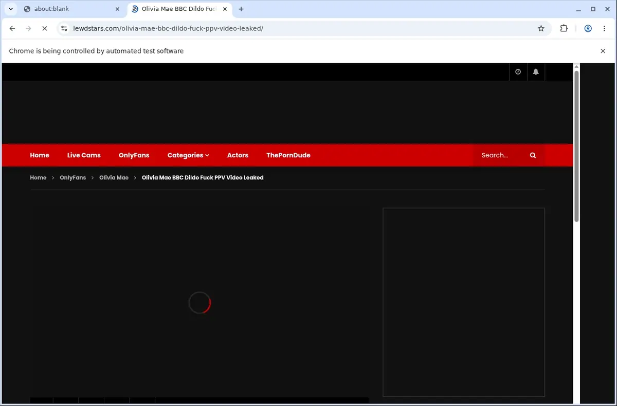 LewdStars Video Downloader page open in the browser