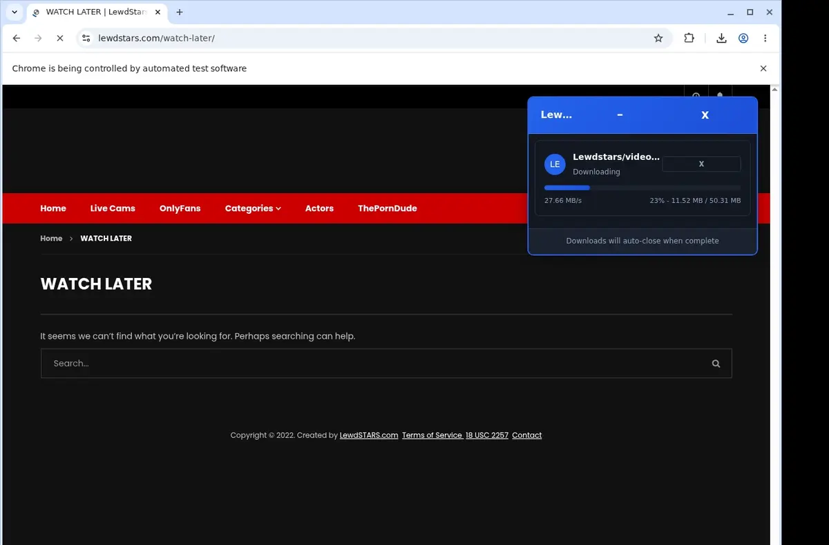 LewdStars Video Downloader download progress panel