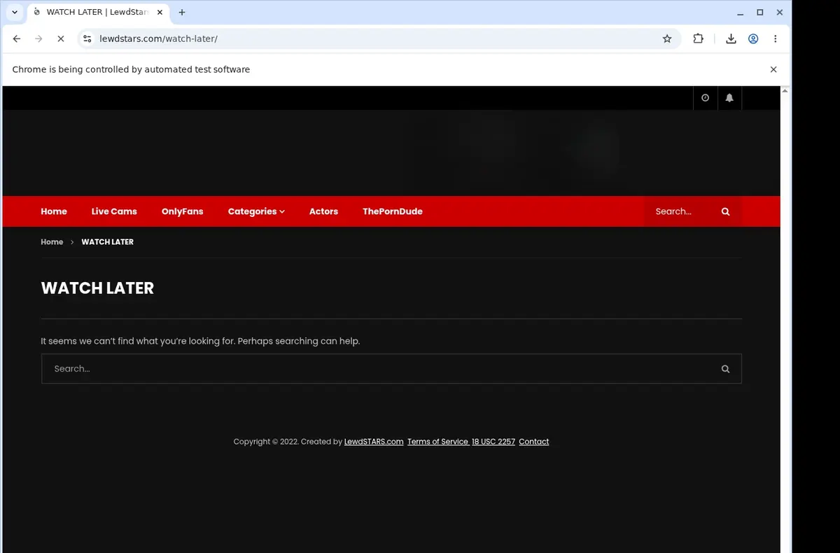 LewdStars Video Downloader showing detected media ready to download