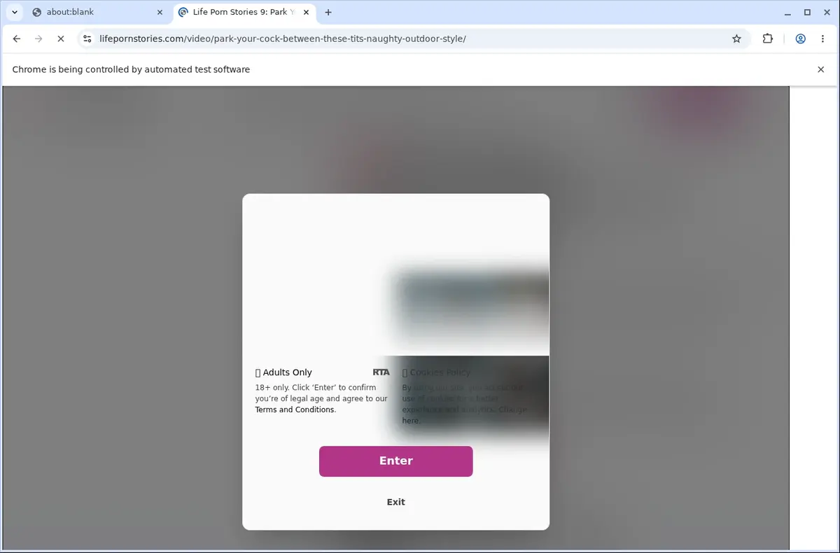 LifePornStories Video Downloader page open in the browser