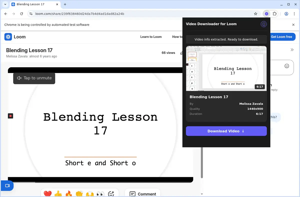 Loom Video Downloader showing detected media ready to download