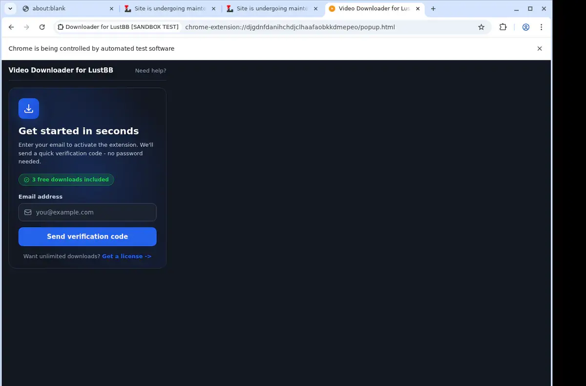 LustBB Downloader showing detected media ready to download
