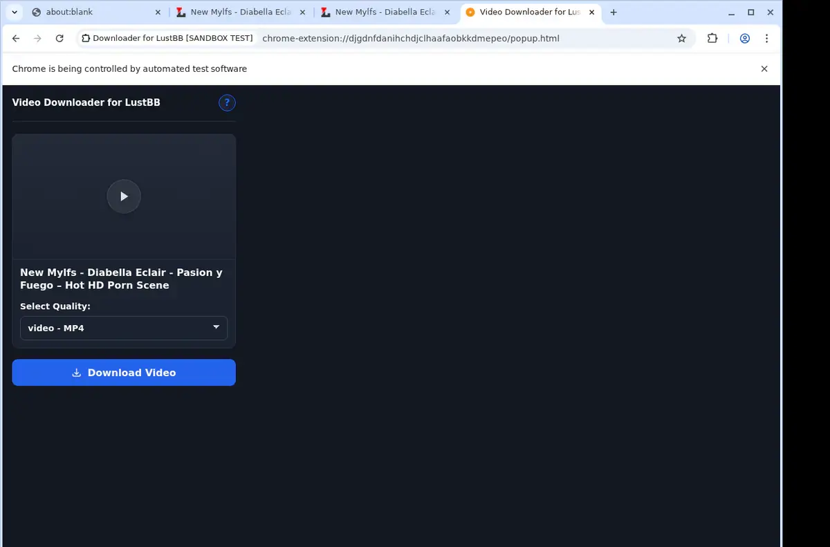 LustBB Downloader format selection and save step