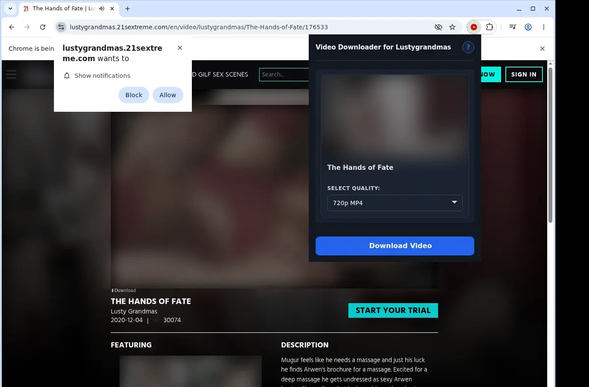 LustyGrandmas Video Downloader showing detected media ready to download