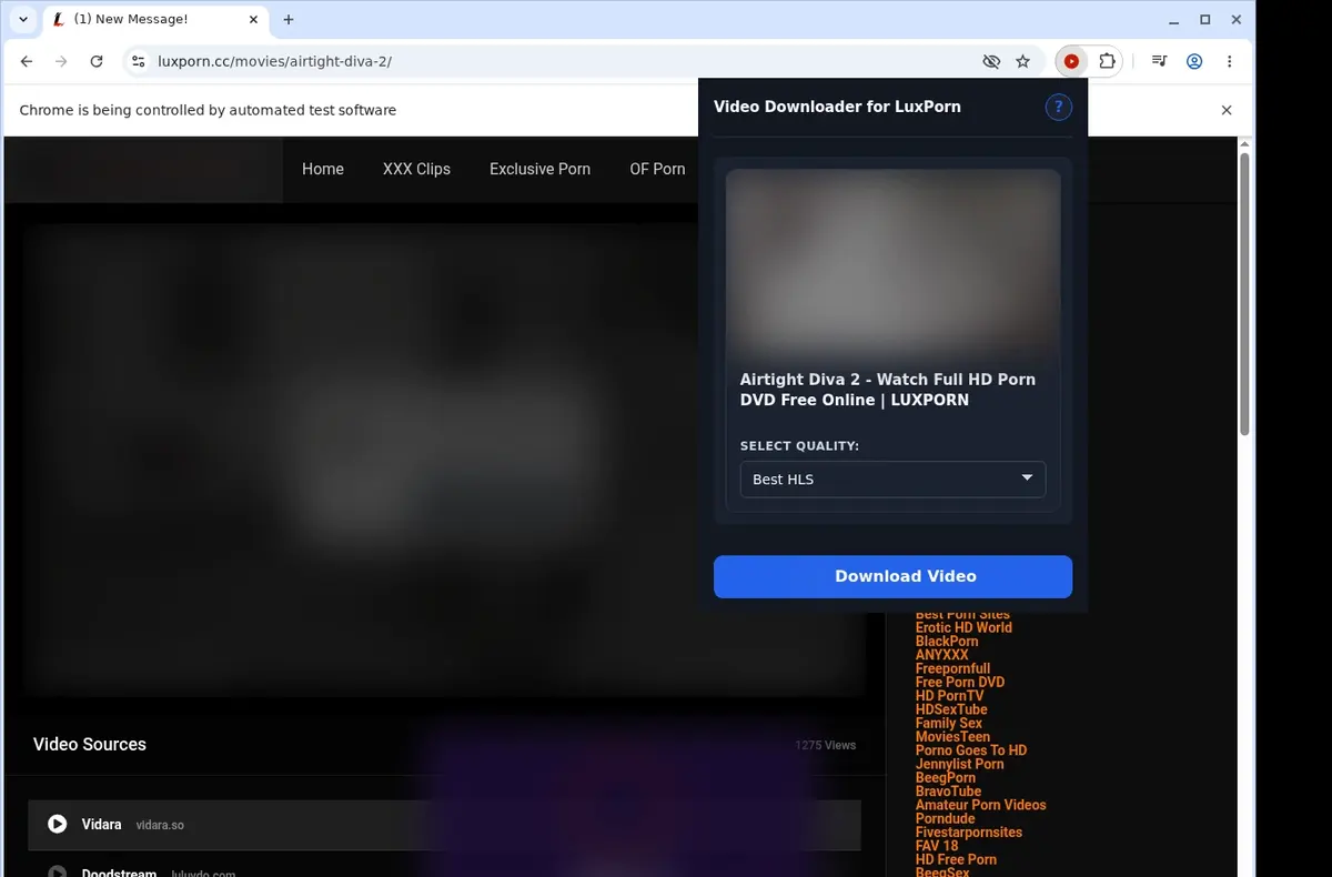 LuxPorn Downloader showing detected media ready to download