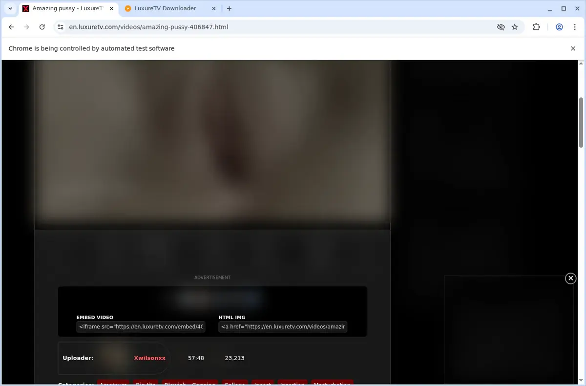 LuxureTV Video Downloader download progress panel