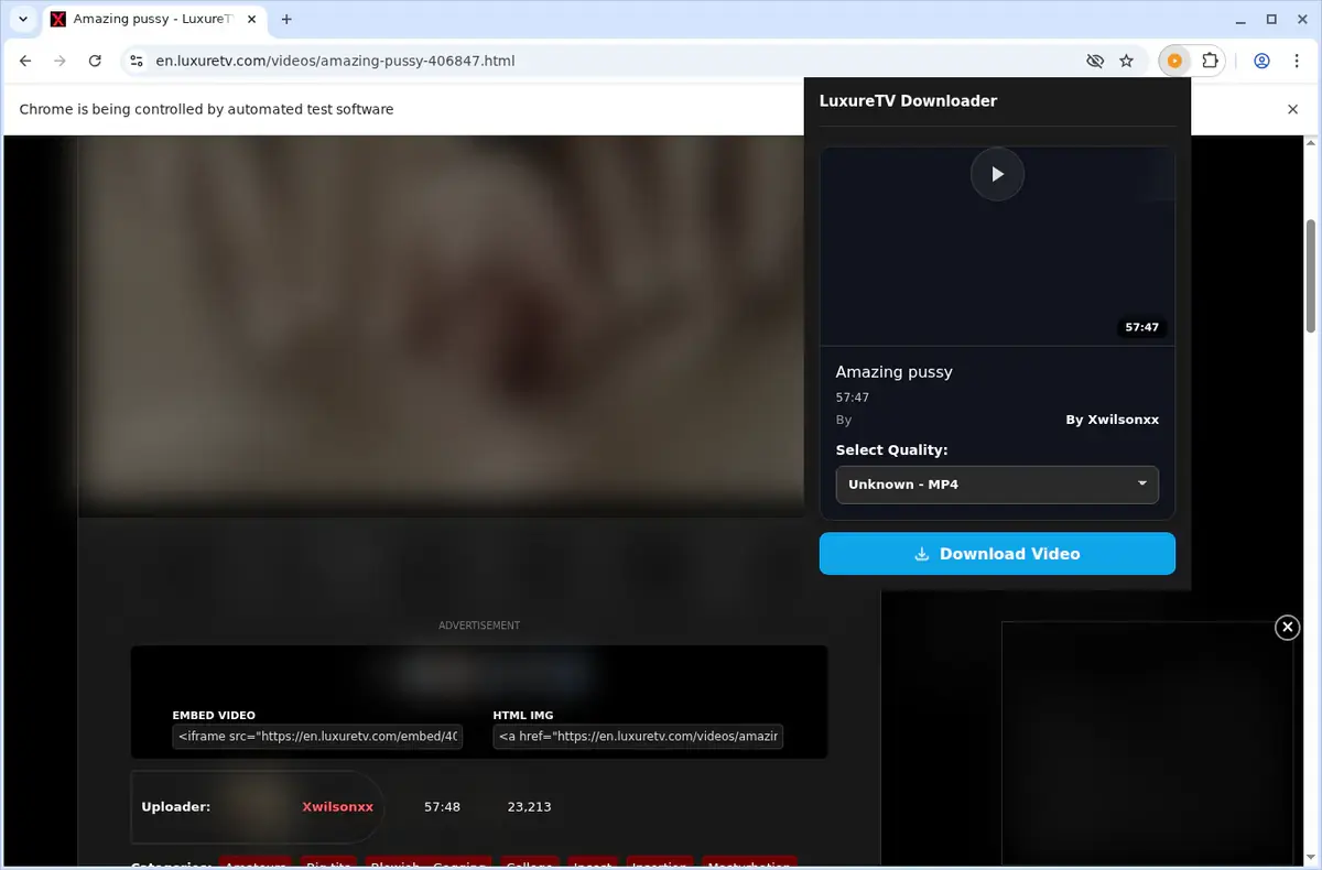 LuxureTV Video Downloader showing detected media ready to download