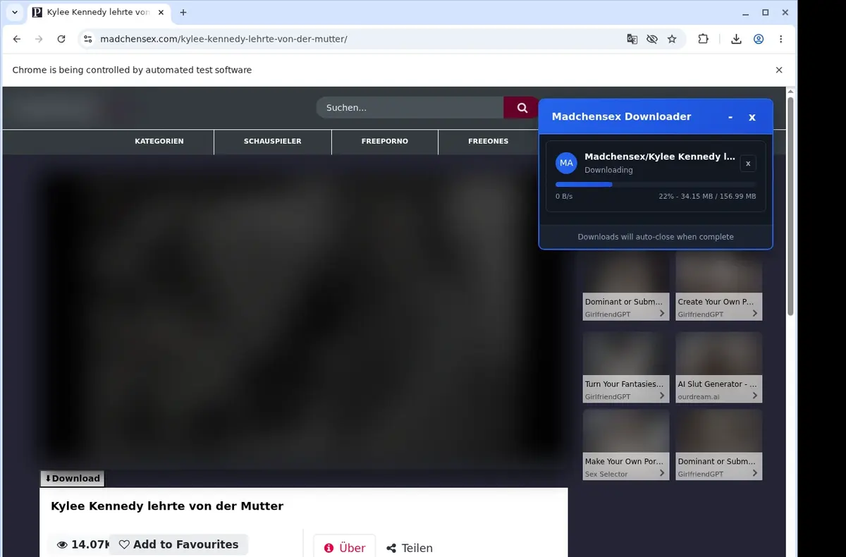 MadchenSex Video Downloader download progress panel