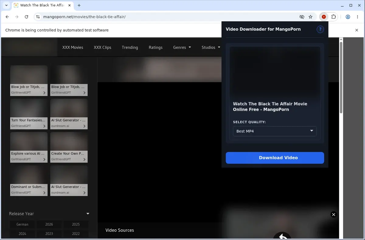 MangoPorn Downloader showing detected media ready to download