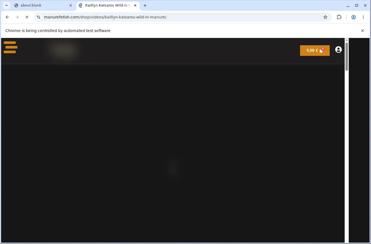Manurefetish Video Downloader page open in the browser