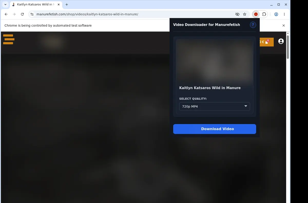 Manurefetish Video Downloader showing detected media ready to download
