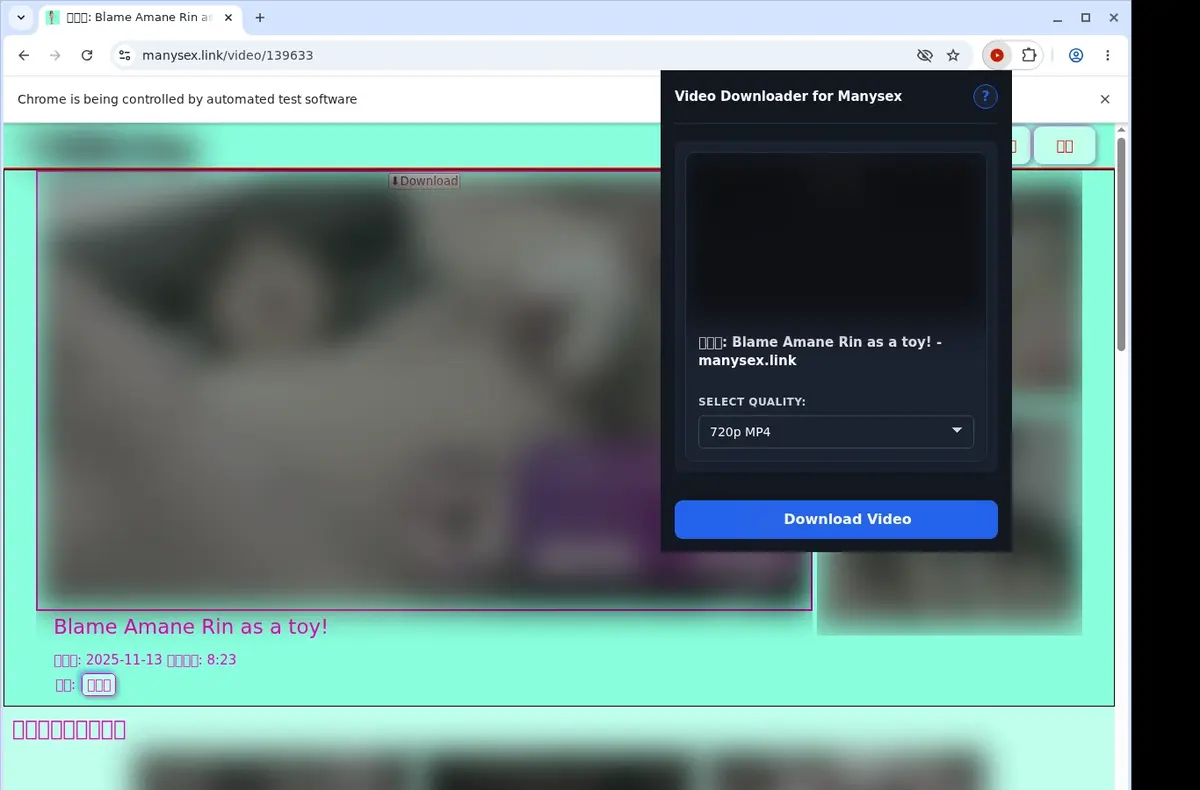 ManySex Downloader showing detected media ready to download