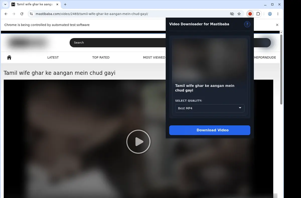 Mastibaba Video Downloader showing detected media ready to download