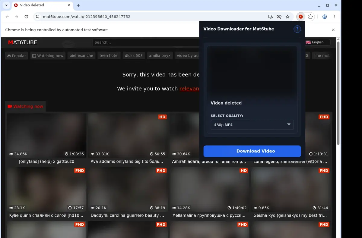 Mat6tube Video Downloader showing detected media ready to download